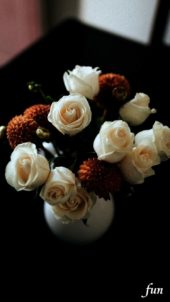 秋らしい色の花