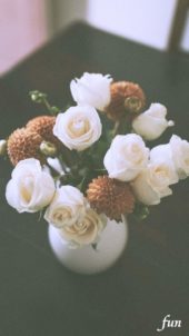 秋らしい色の花