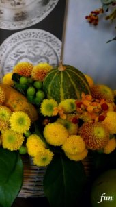 かぼちゃと黄色の花