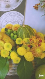 かぼちゃと黄色の花