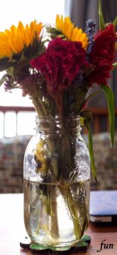 部屋に飾ったケイトウ