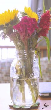 部屋に飾ったケイトウ