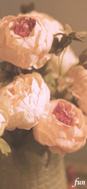 優しくて暖かい色の花