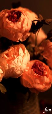 優しくて暖かい色の花