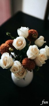 秋に似合う色の花