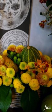 かぼちゃと黄色の花