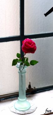 窓際の赤いバラ
