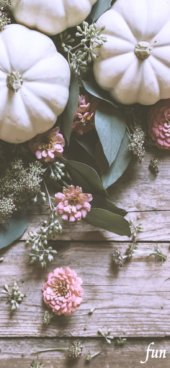 白いかぼちゃとピンクの花