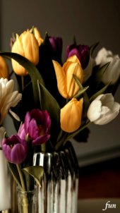 大人色のチューリップ