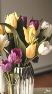 大人色のチューリップ