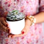 LINEプロフィール背景の春の画像フリー素材が取り放題