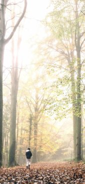 冬の森と女の子