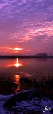 冬の水辺のサンセット