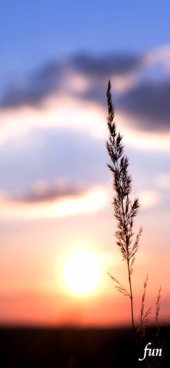 冬のサンセット