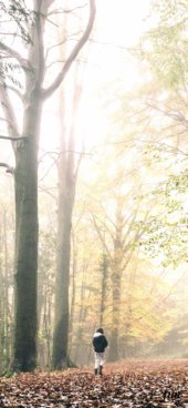 iPhone12ProMax・13ProMax・14plusの無料壁紙・待受け