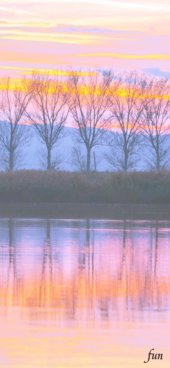 iPhone12ProMax・13ProMax・14plusの無料壁紙・待受け