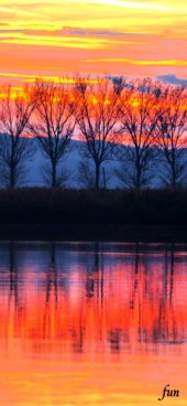 iPhone12ProMax・13ProMax・14plusの無料壁紙・待受け