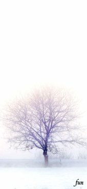 iPhone12ProMax・13ProMax・14plusの無料壁紙・待受け