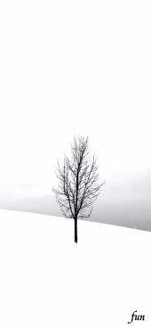 iPhone12ProMax・13ProMax・14plusの無料壁紙・待受け