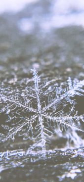 iPhone12ProMax・13ProMax・14plusの無料壁紙・待受け