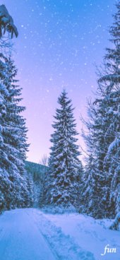 iPhone12ProMax・13ProMax・14plusの無料壁紙・待受け