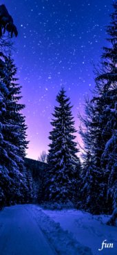 iPhone12ProMax・13ProMax・14plusの無料壁紙・待受け