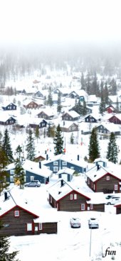 iPhone12ProMax・13ProMax・14plusの無料壁紙・待受け