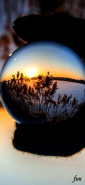 iPhone12ProMax・13ProMax・14plusの無料壁紙・待受け