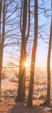 iPhone12ProMax・13ProMax・14plusの無料壁紙・待受け