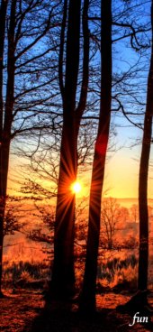 iPhone12ProMax・13ProMax・14plusの無料壁紙・待受け