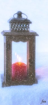 iPhone12ProMax・13ProMax・14plusの無料壁紙・待受け