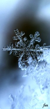 iPhone12ProMax・13ProMax・14plusの無料壁紙・待受け