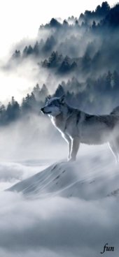 iPhone12ProMax・13ProMax・14plusの無料壁紙・待受け