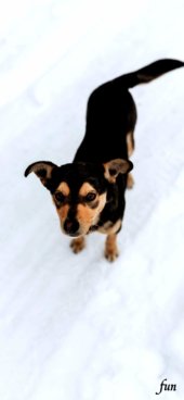 iPhone12ProMax・13ProMax・14plusの無料壁紙・待受け