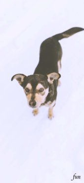 iPhone12ProMax・13ProMax・14plusの無料壁紙・待受け