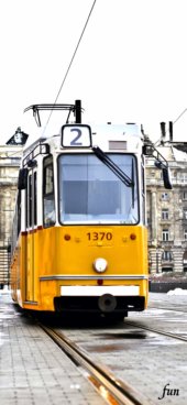 iPhone12ProMax・13ProMax・14plusの無料壁紙・待受け