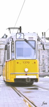 iPhone12ProMax・13ProMax・14plusの無料壁紙・待受け