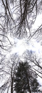 iPhone12ProMax・13ProMax・14plusの無料壁紙・待受け