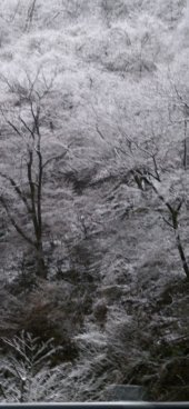 iPhone12ProMax・13ProMax・14plusの無料壁紙・待受け