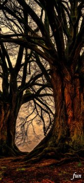 iPhone12ProMax・13ProMax・14plusの無料壁紙・待受け