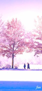 iPhone12ProMax・13ProMax・14plusの無料壁紙・待受け