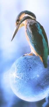 iPhone12ProMax・13ProMax・14plusの無料壁紙・待受け