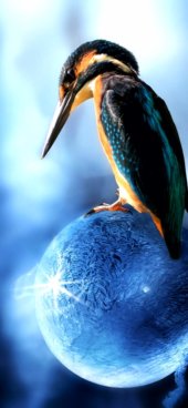 iPhone12ProMax・13ProMax・14plusの無料壁紙・待受け