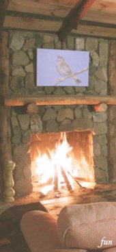 iPhone12ProMax・13ProMax・14plusの無料壁紙・待受け