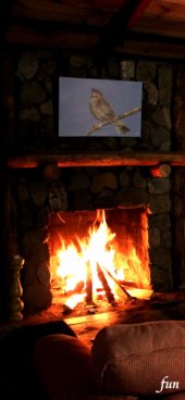 iPhone12ProMax・13ProMax・14plusの無料壁紙・待受け