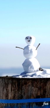 iPhone12ProMax・13ProMax・14plusの無料壁紙・待受け