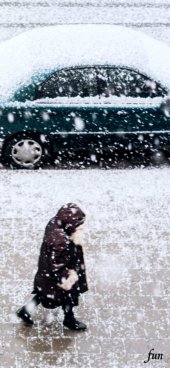 iPhone12ProMax・13ProMax・14plusの無料壁紙・待受け