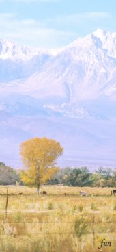 iPhone12ProMax・13ProMax・14plusの無料壁紙・待受け