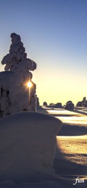 iPhone12ProMax・13ProMax・14plusの無料壁紙・待受け