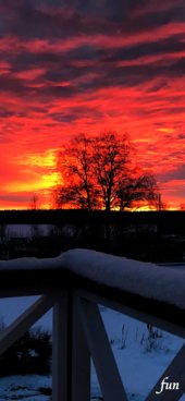 iPhone12ProMax・13ProMax・14plusの無料壁紙・待受け